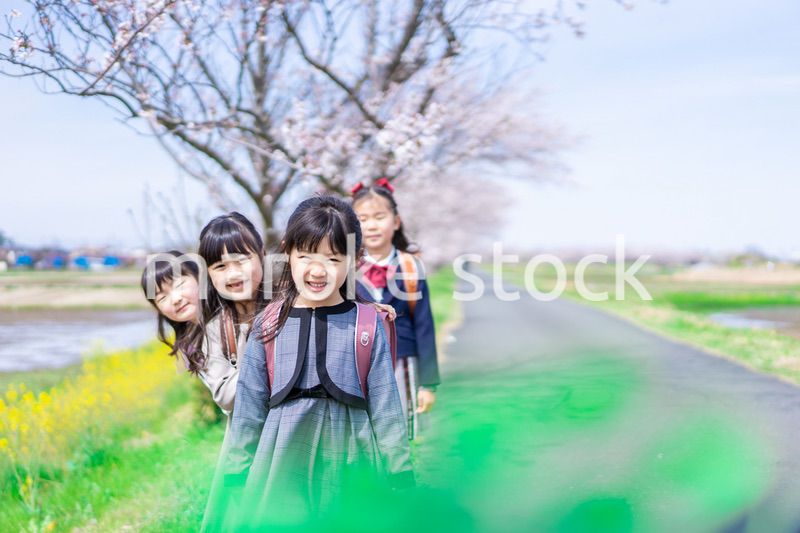 登下校中に通学路で遊ぶ小学生の女の子たち