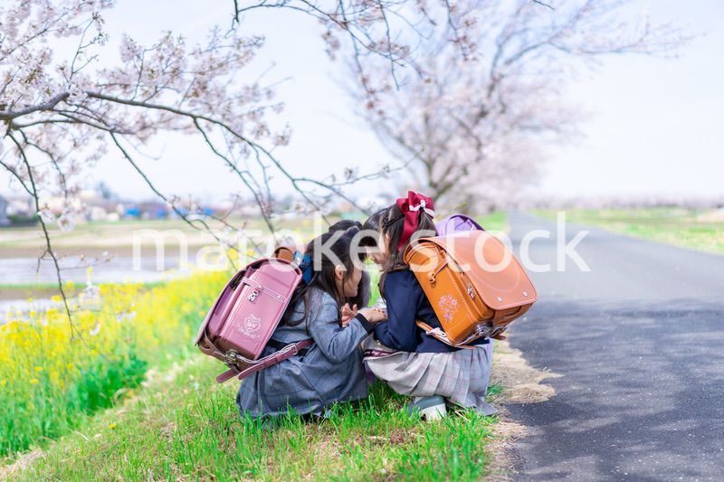 登下校中に通学路で遊ぶ小学生の女の子たち