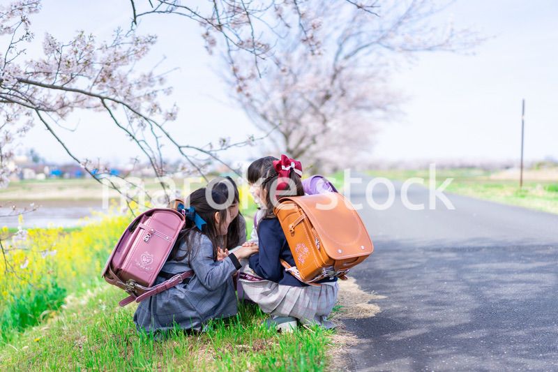 登下校中に通学路で遊ぶ小学生の女の子たち
