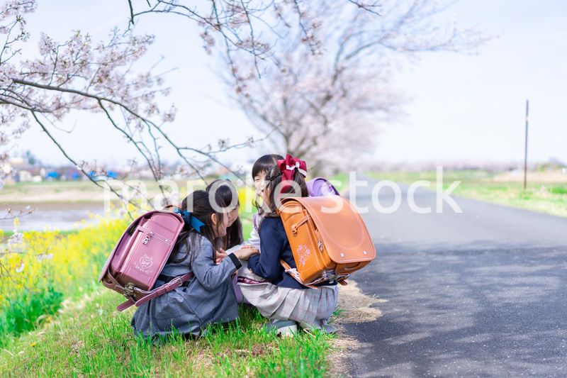 登下校中に通学路で遊ぶ小学生の女の子たち