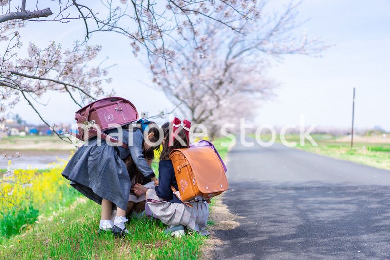 登下校中に通学路で遊ぶ小学生の女の子たち