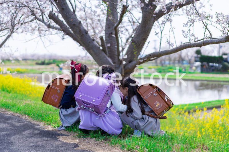 登下校中に通学路で遊ぶ小学生の女の子たち