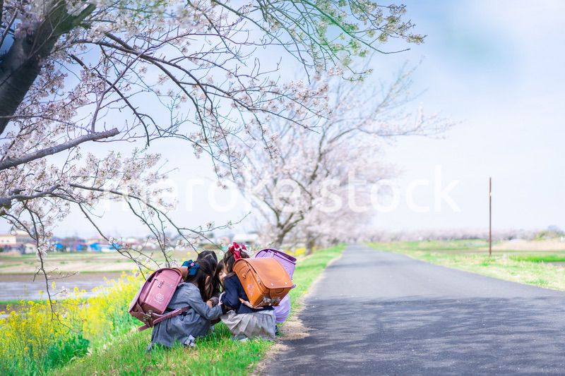 登下校中に通学路で遊ぶ小学生の女の子たち