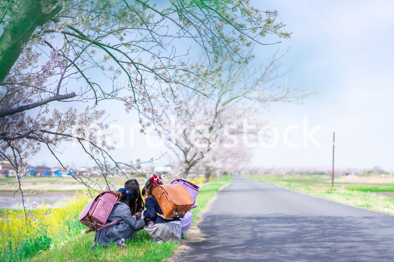 登下校中に通学路で遊ぶ小学生の女の子たち