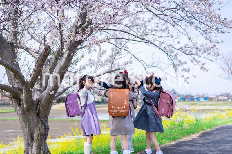 登下校中に通学路で遊ぶ小学生の女の子たち
