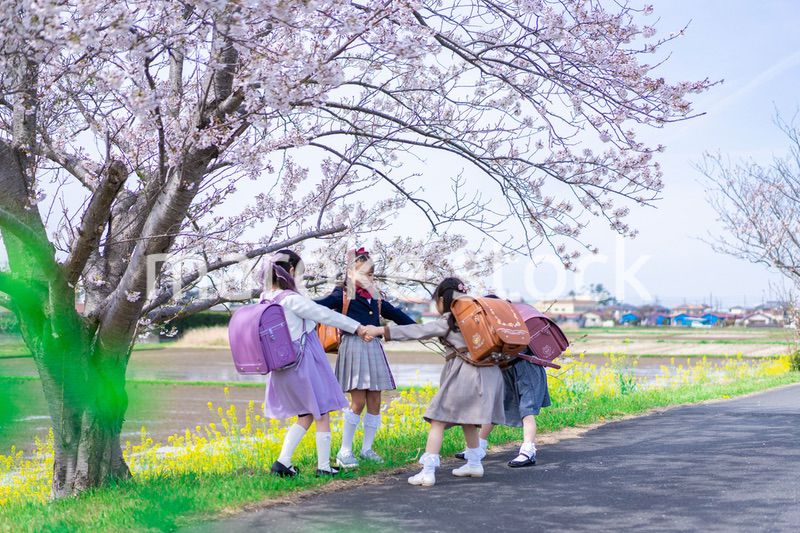 登下校中に通学路で遊ぶ小学生の女の子たち