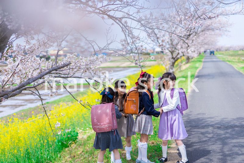 登下校中に通学路で遊ぶ小学生の女の子たち