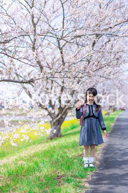 入学式のためにおめかしをした女の子