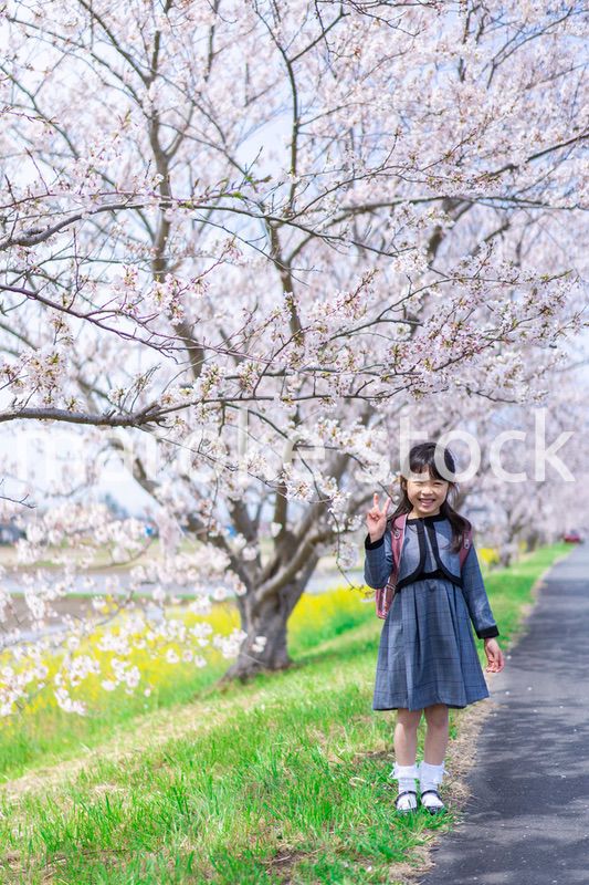 入学式のためにおめかしをした女の子