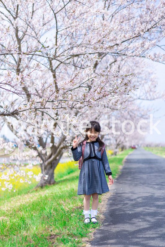 入学式のためにおめかしをした女の子