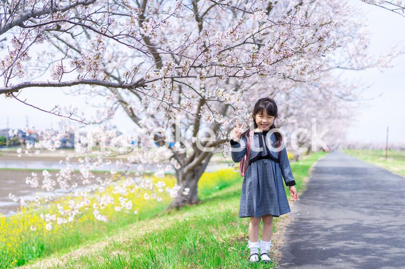 入学式のためにおめかしをした女の子