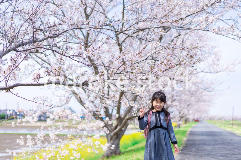 入学式のためにおめかしをした女の子