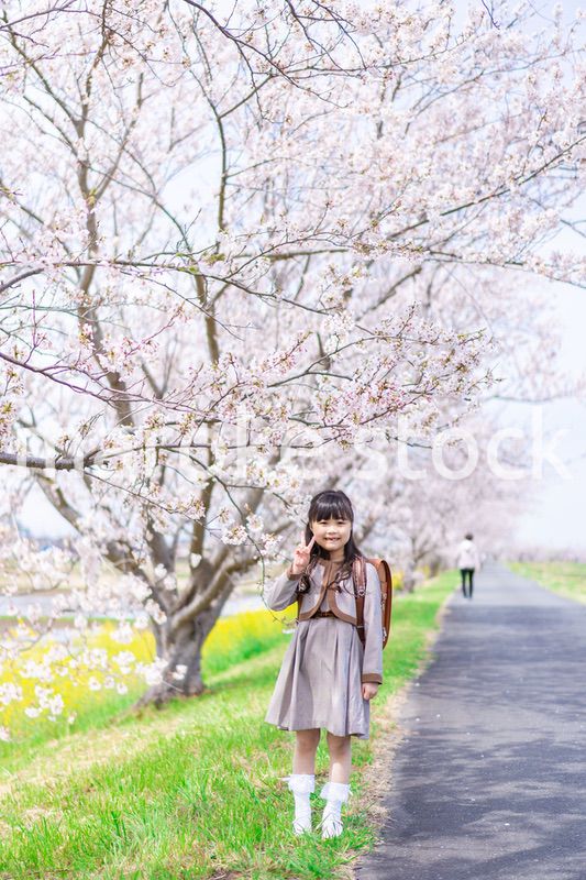 桜の木の下でピースをする女の子
