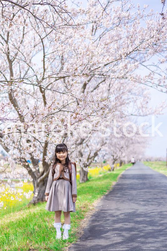 桜の木の下でピースをする女の子