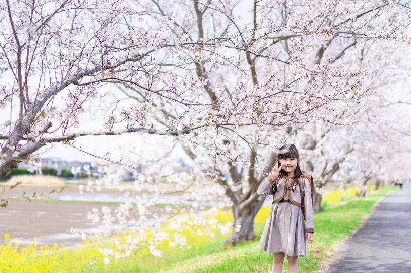 桜の木の下でピースをする女の子