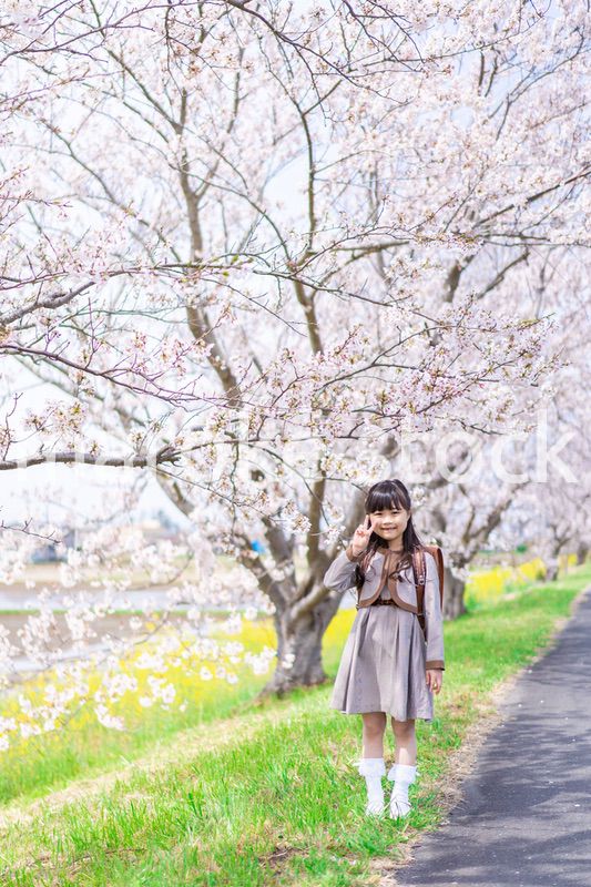 桜の木の下でピースをする女の子