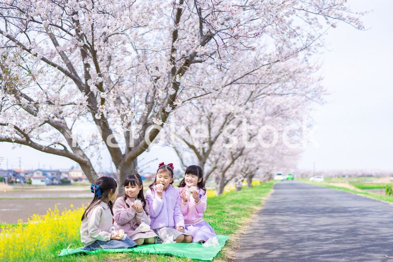 桜の木の下でピクニックをする小さな女の子たち