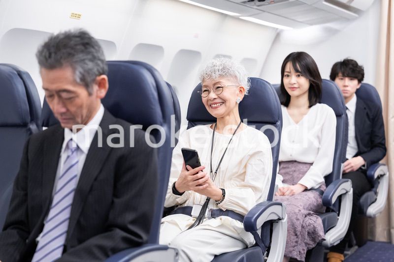 飛行機で移動をする乗客