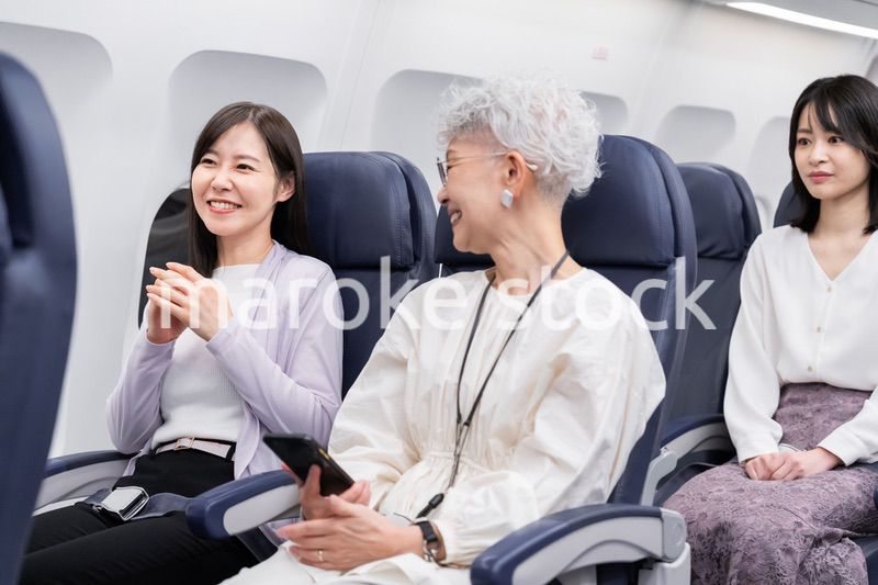 飛行機で移動をする乗客