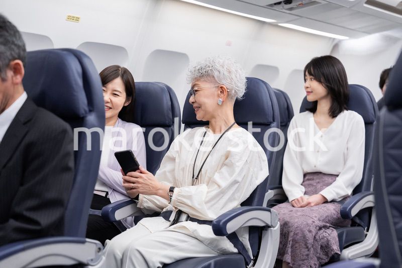 飛行機で移動をする乗客