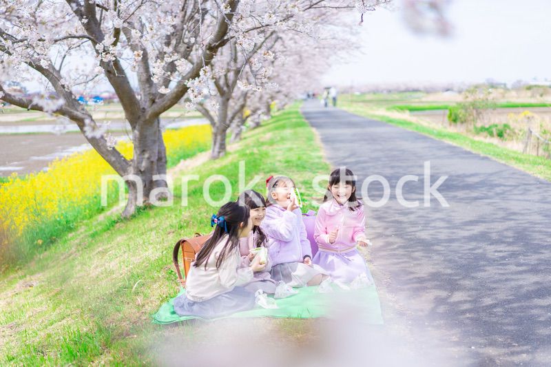 桜の木の下でピクニックをする小さな女の子たち