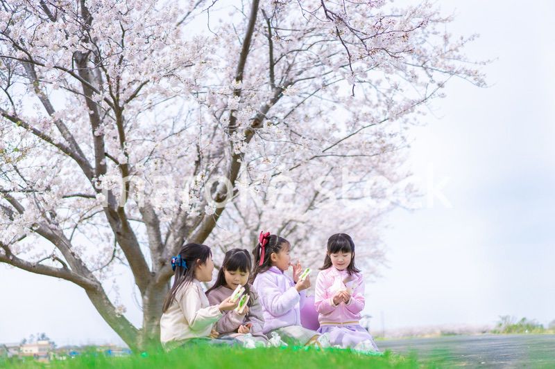 桜の木の下でピクニックをする小さな女の子たち
