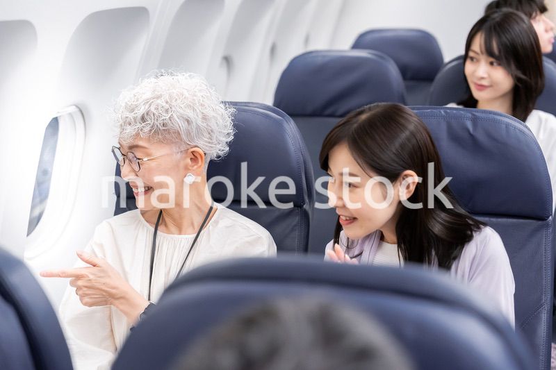 飛行機で移動をする乗客