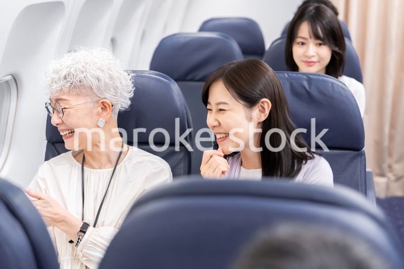 飛行機で移動をする乗客