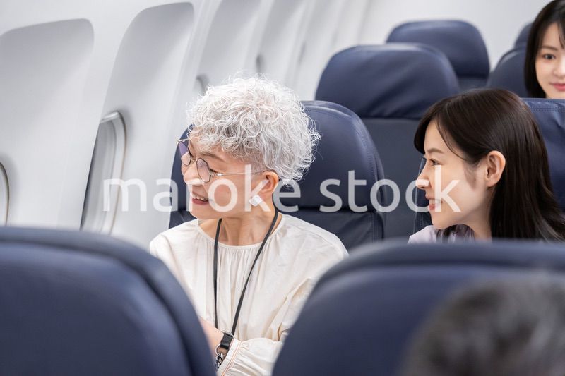 飛行機で移動をする乗客