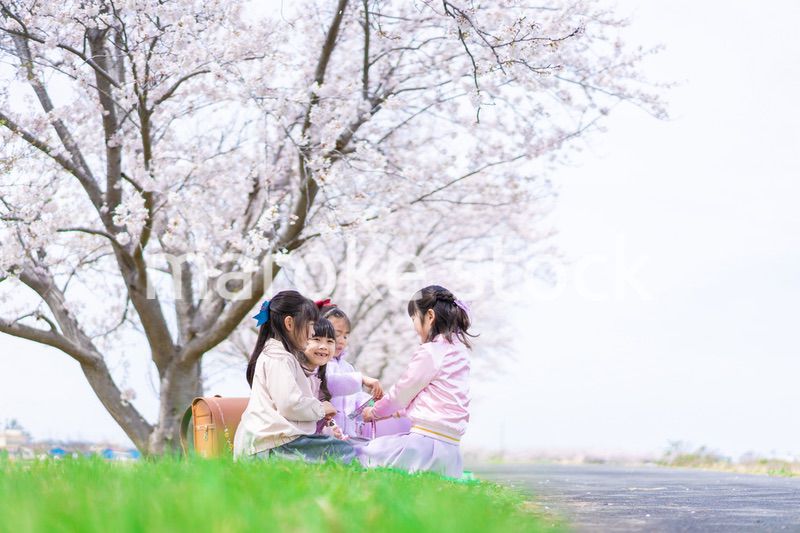 桜の木の下でピクニックをする小さな女の子たち