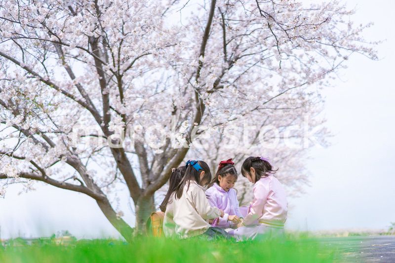 桜の木の下でピクニックをする小さな女の子たち