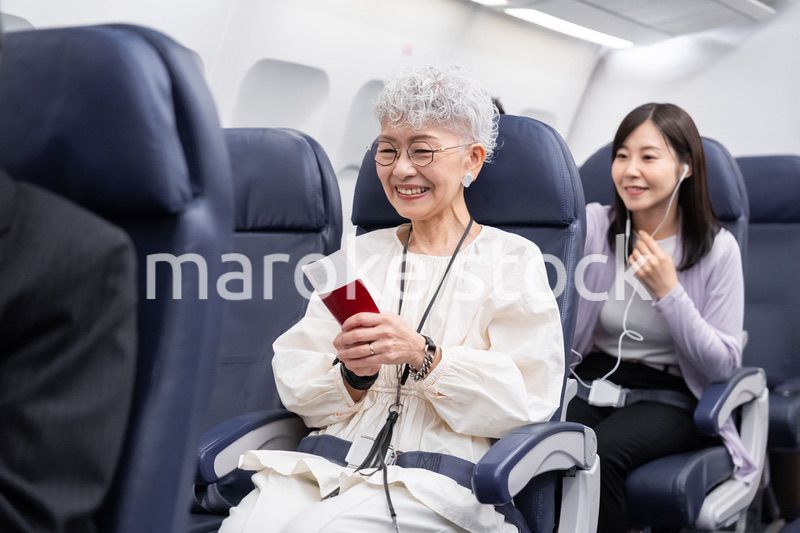 飛行機で移動をする乗客