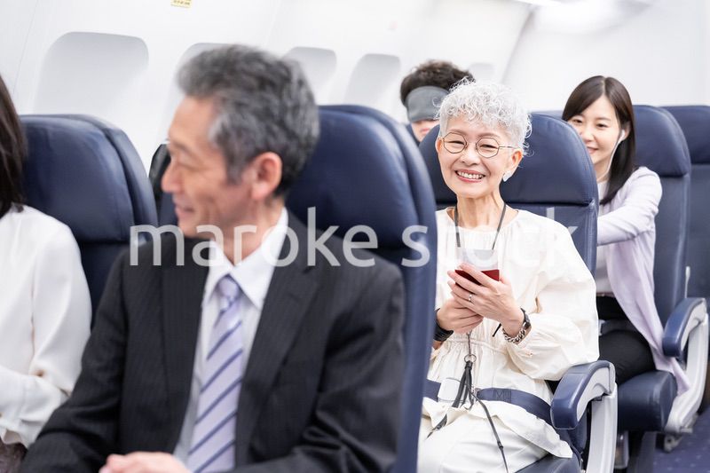 飛行機で移動をする乗客