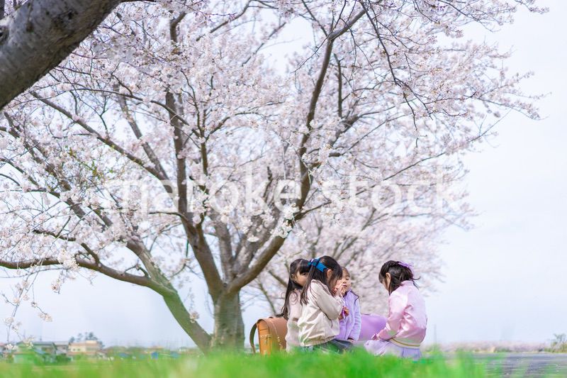 桜の木の下でピクニックをする小さな女の子たち