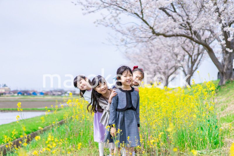 お花畑で仲良く遊ぶ小学生の女の子