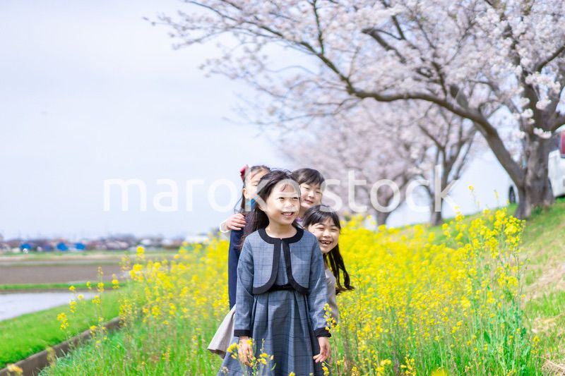 お花畑で仲良く遊ぶ小学生の女の子