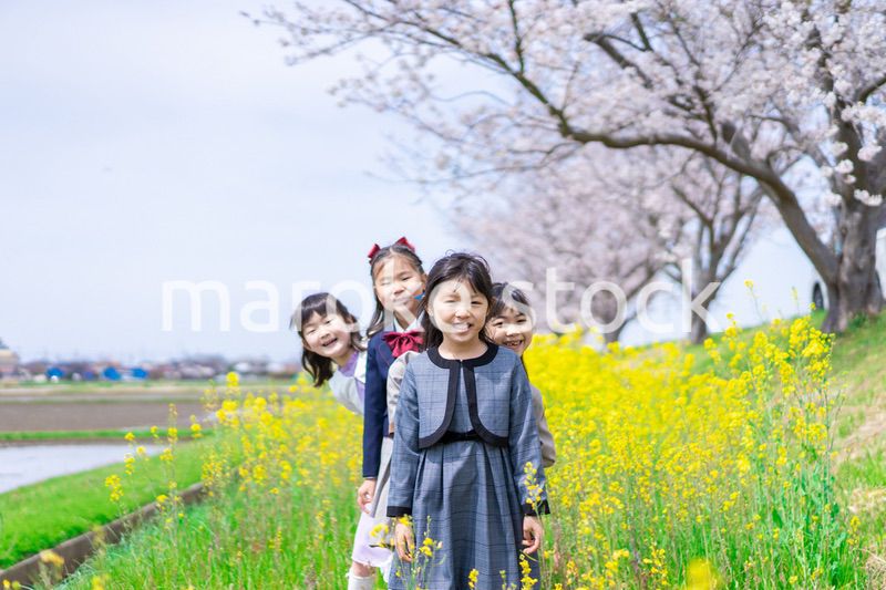 お花畑で仲良く遊ぶ小学生の女の子