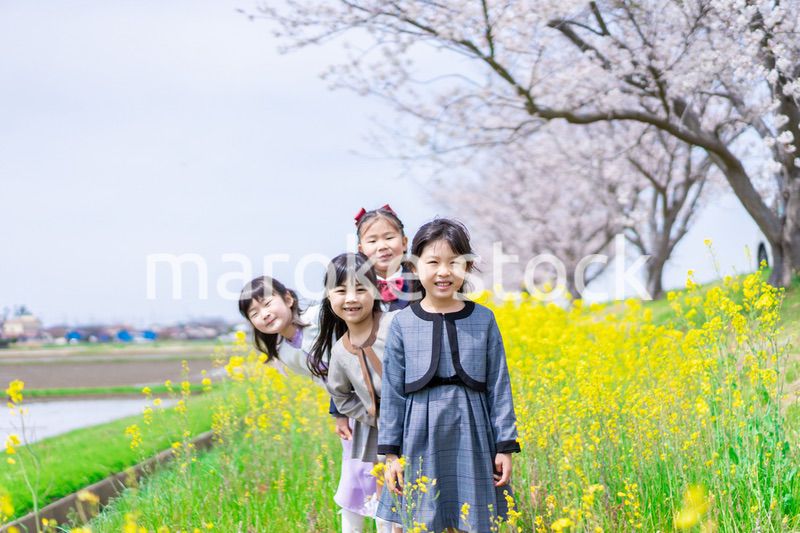 お花畑で仲良く遊ぶ小学生の女の子