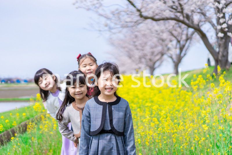 お花畑で仲良く遊ぶ小学生の女の子