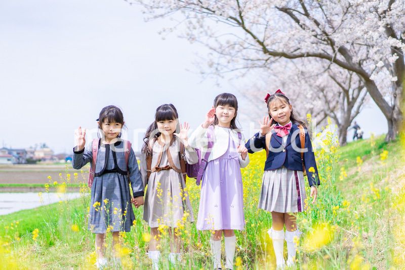 お花畑で仲良く遊ぶ小学生の女の子