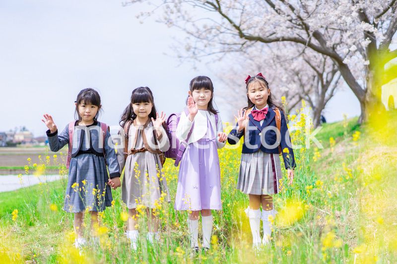 お花畑で仲良く遊ぶ小学生の女の子