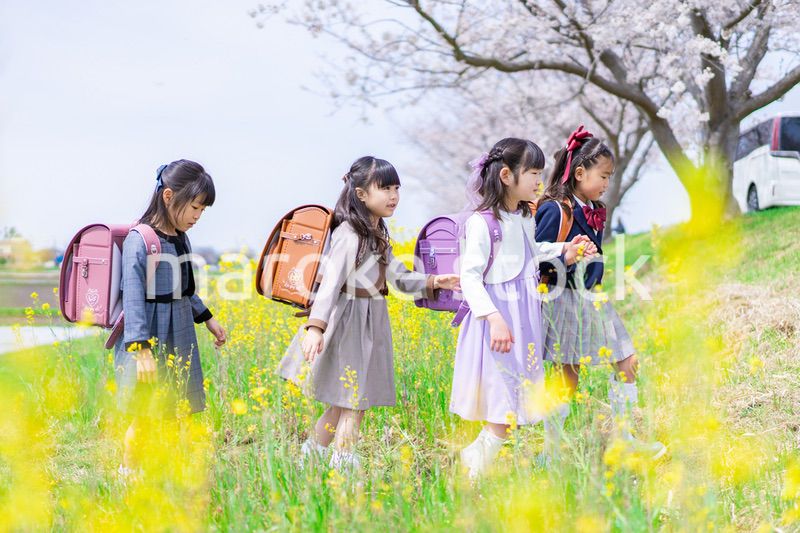 お花畑で仲良く遊ぶ小学生の女の子