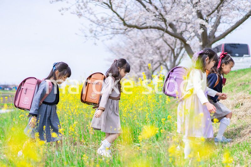 お花畑で仲良く遊ぶ小学生の女の子
