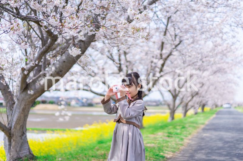 カメラで写真を撮る小学生