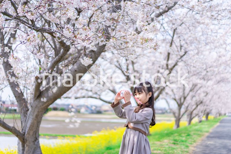 カメラで写真を撮る小学生