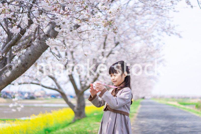 カメラで写真を撮る小学生