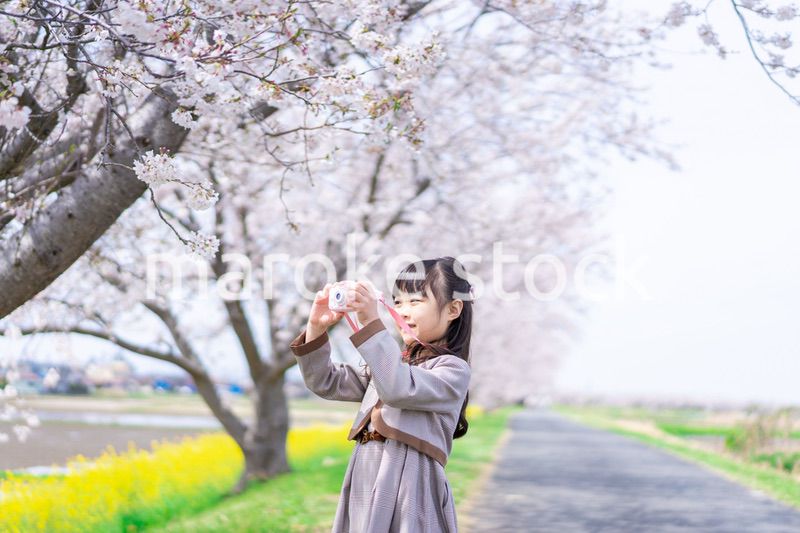 カメラで写真を撮る小学生