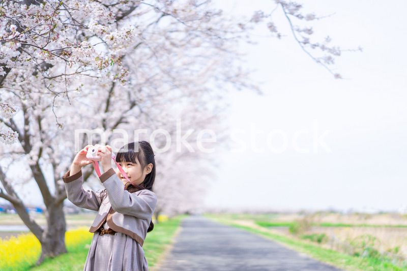 カメラで写真を撮る小学生