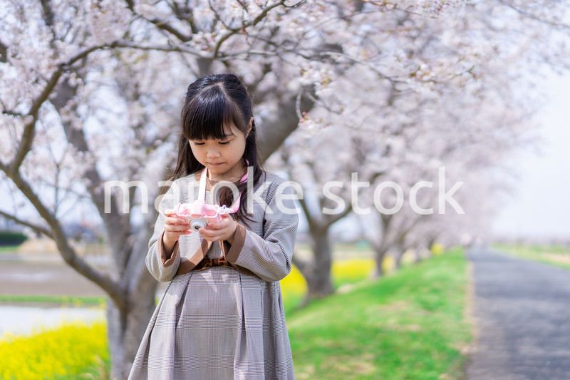 カメラで写真を撮る小学生