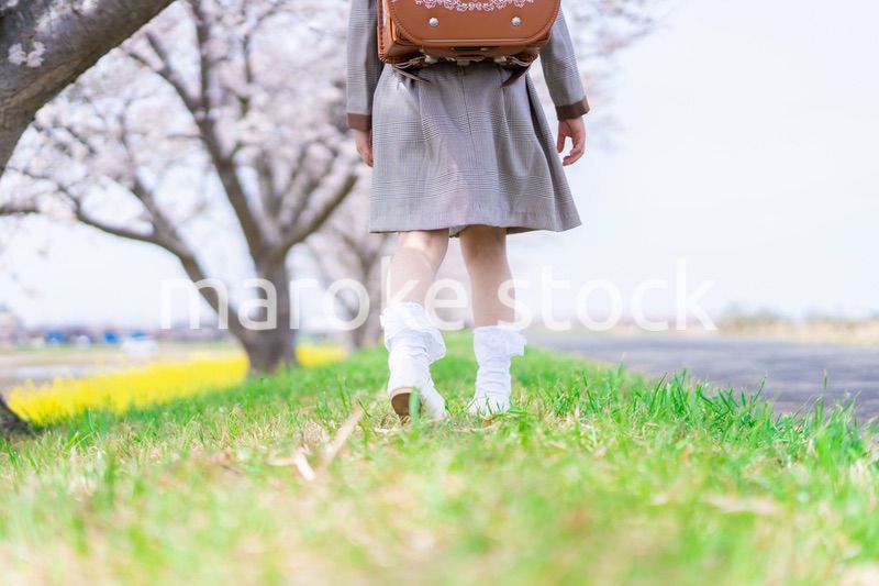 桜並木を歩くランドセルを背負った女の子